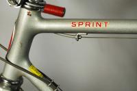 Vintage 1981 Schwinn Sprint 21 road racing bike bicycle Silver mint 