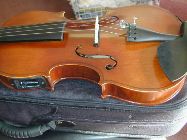 music instrument violin