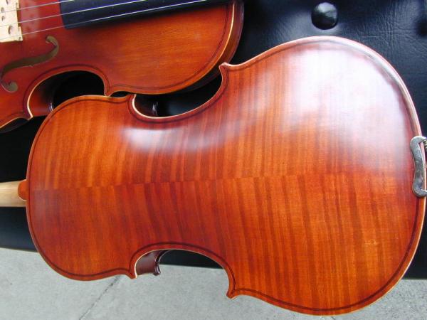 Tiger Framed Violin