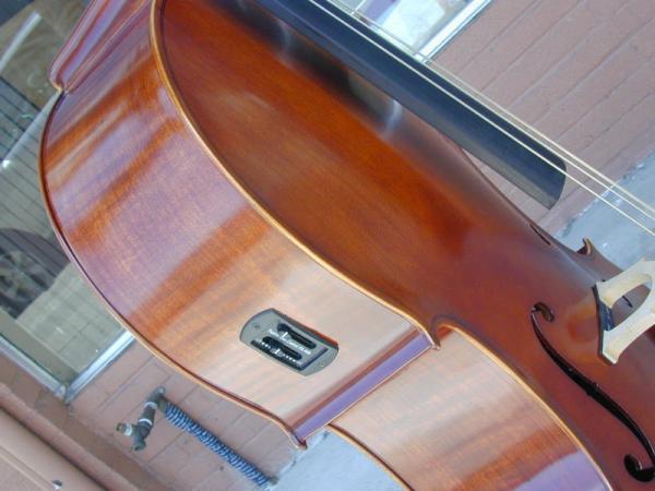 Tiger Framed Electronic Cello