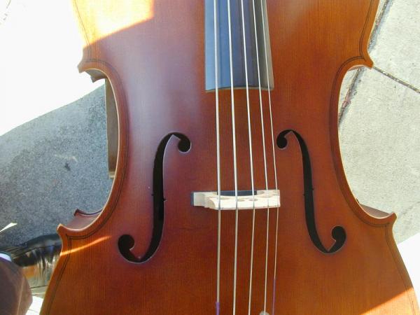 5 Strings Cello