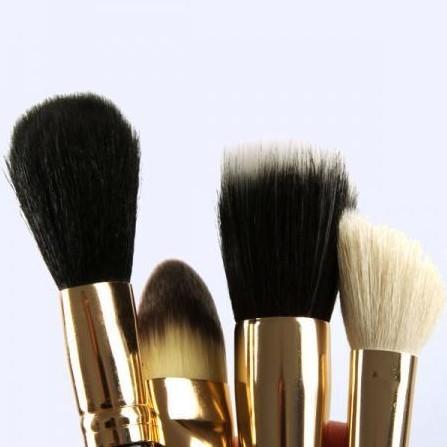 10 pcs Makeup Brush Cosmetic Brushes Set With 2 Waterproof PVC Pouch 