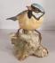 Tay Italy Porcelain Bird Figurine Cincia Guiseppe Tagliariol DAMAGE | eBay