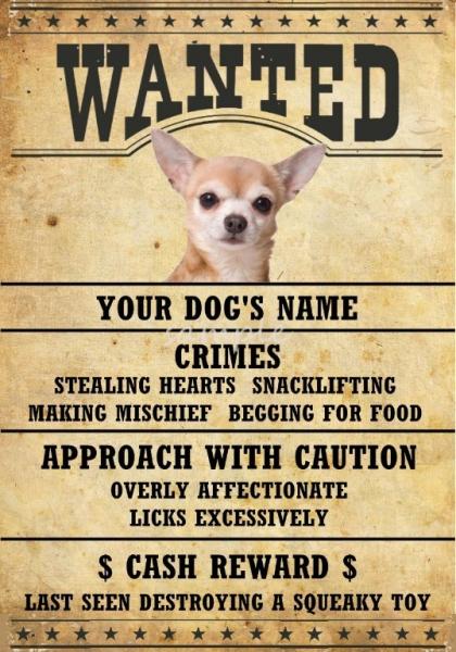 CHIHUAHUA Property Laws Magnet Personalized With Your Dog's Name #2