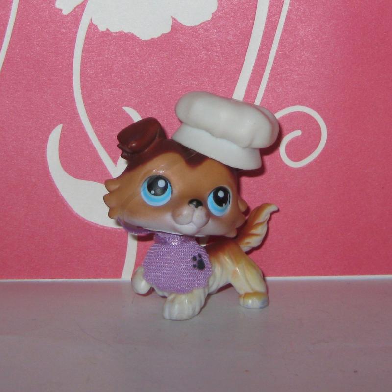 58 Caramel Brown Collie w Bakery Nook Accessories Littlest Pet Shop Dog