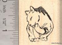 Cute Grooming Cat rubber stamp D12211 WM Kitten  